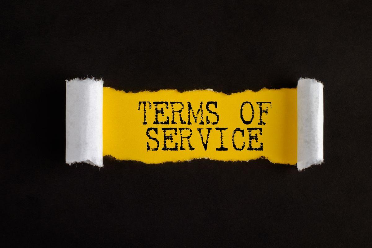 Torn paper with text TERMS OF SERVICE, business concept.